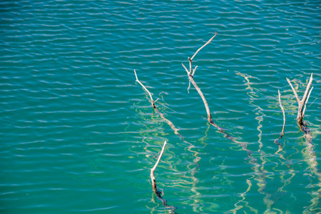 Lagoons of Ruidera between the provinces of Albacete and Ciudad Real in Spain. High quality photoの写真素材