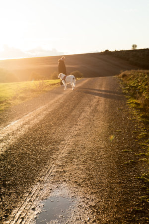 A man and his dog are walking on a dirt road. The man is wearing a jacket and the dog is wearing a collarの写真素材