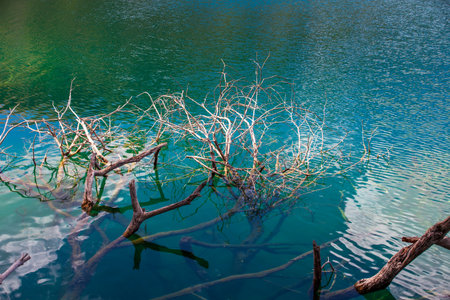 Lagoons of Ruidera between the provinces of Abacete and Ciudad Real in Spain. High quality photoの写真素材