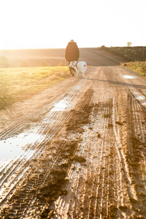 A man and his dog are walking on a dirt road. The man is wearing a jacket and the dog is wearing a collarの写真素材