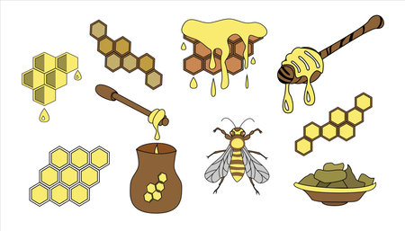 Honey and propolis set. Vector icons illustration on white background.のイラスト素材