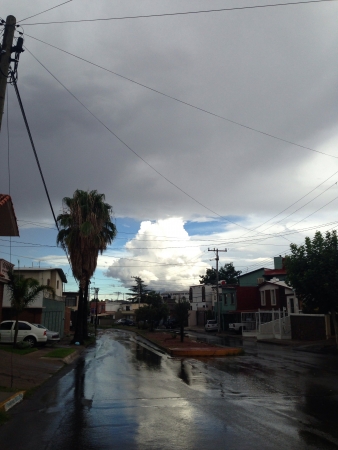 Raining in Chihuahua の素材