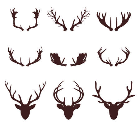 Deer head silhouette with antlers, vector illustrationのイラスト素材