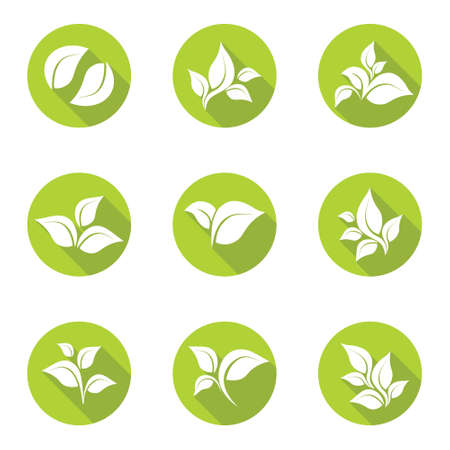 Set of green leaves isolated on white background, organic icon. Vector.のイラスト素材