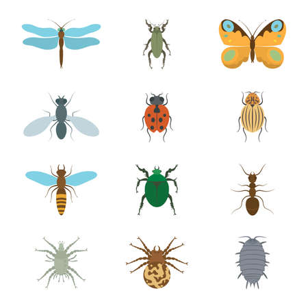 Icons set insects flat - dragonfly, beetle, butterfly, fly, ladybug, koroladsky beetle, wasp, bronzovik ant, tick, a spider, wood louse, vectorのイラスト素材