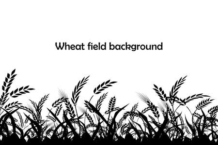 Vector silhouette of wheat. Silhouette. Wheat in the field.のイラスト素材