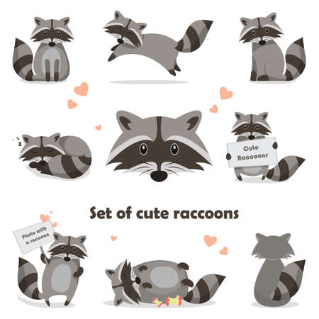 Collection isolated funny raccoon. Emotion little raccoon. Vector set cute raccoon. Cartoon raccoon in children style.のイラスト素材