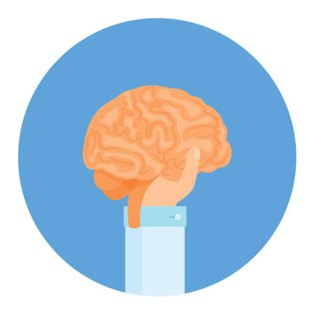 He keeps brains in his hand, he teaches a stupid mind. Vector.