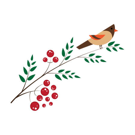 Rowan bunch of red berries red ripe leaf tree autumn season natural fruit vector illustration, seasonal Christmas bright delicious decorationのイラスト素材