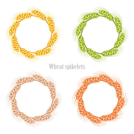 Vector wheat in the shape of a circle on a white background. Vector illustration.のイラスト素材