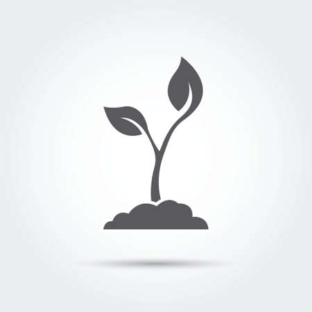 Seedling process, seed icon silhouette. Vector illustrationのイラスト素材