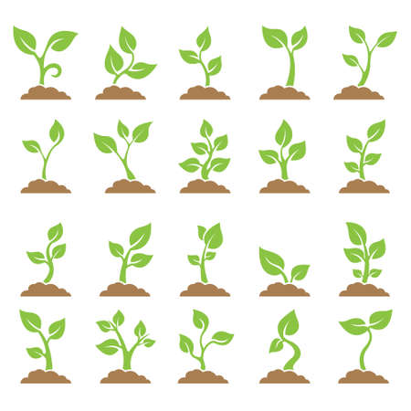 Set of planted seedlings in the ground. Icons  Vector illustration on white backgroundのイラスト素材