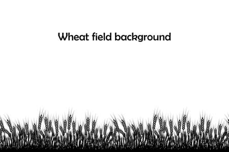 Vector silhouette of wheat. Wheat in the field on a white background.のイラスト素材