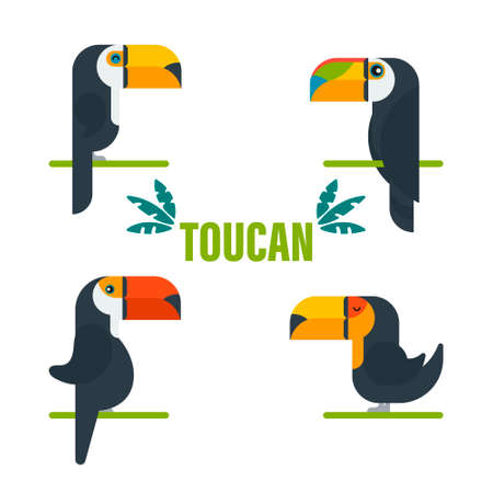 Toucan bird cartoon character. Cute toucan flat vector isolated on white. The fauna of South America. Wild animal illustration for a zoo ad, nature concept, children picture bookのイラスト素材