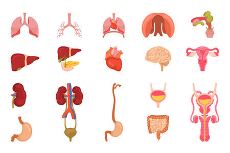 Vector design of body and human symbol. Set of body and medical stock symbolのイラスト素材