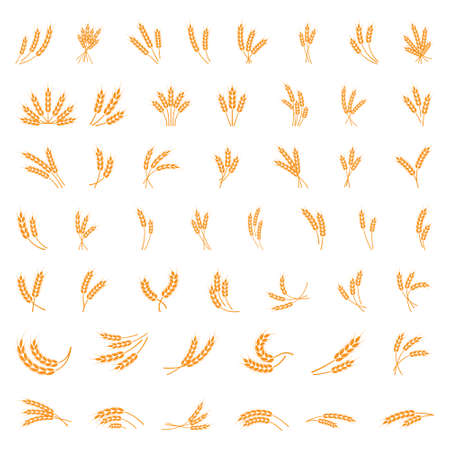 Symbols. for logo design Wheat. Agriculture, corn, barley, stalks, organic plants, bread, food natural harvest vector illustration on white background isolatedのイラスト素材