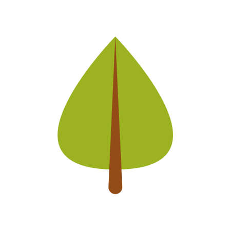 Green leaf of a tree. Vector illustration on white isolated backgroundのイラスト素材