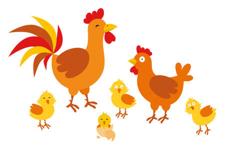 Adult hen and rooster with chickens on a white background. Cute chicken family with their chickens in cartoon styleのイラスト素材