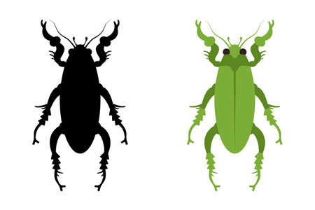 A vector illustration of an amazing jewel beetle.のイラスト素材