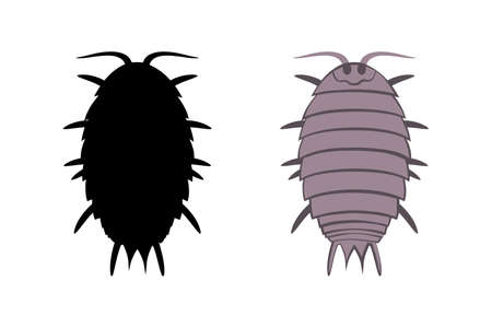 Vector drawing wood lice isolated on a white background.のイラスト素材
