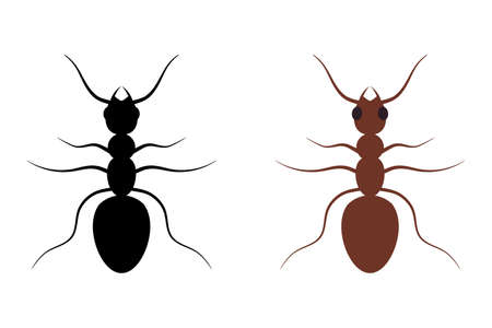 Ant. Silhouette. Illustrations on white isolated background.のイラスト素材