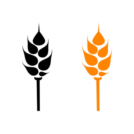 Black and orange abstract ears of wheat. Vector illustration on white isolated background.のイラスト素材