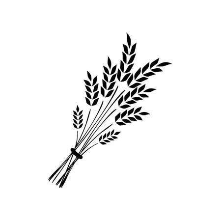 Flat vector line icon of barley, rye, wheat, vector illustration.のイラスト素材