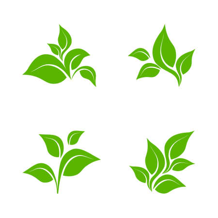 Eco icon green leaf vector illustration isolated. Green leaf sign.のイラスト素材