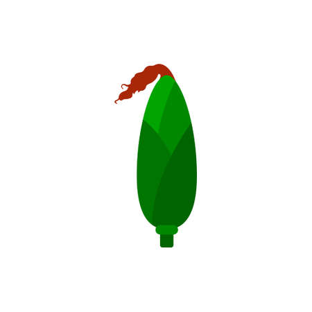 Corn, flat icon, organic logo, vector agriculture corncob farm