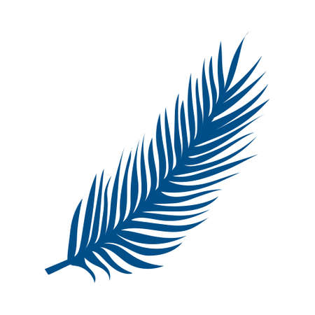 Silhouette of tropical leaf isolated on white background.のイラスト素材