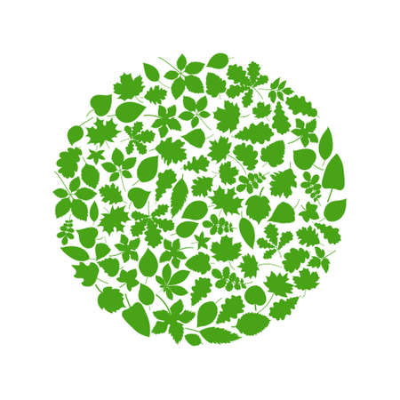 Set of green leaves design elements. This image is a vector illustration.のイラスト素材