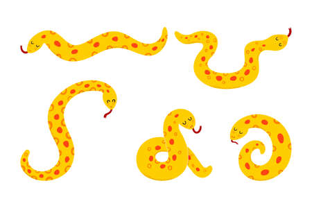 Vector illustration of anaconda. Tropical snake isolated on white background. Set.