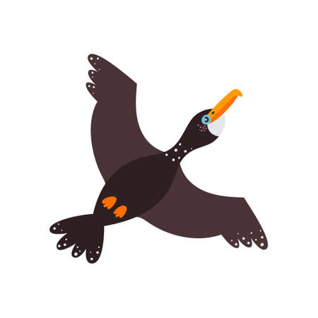 Vector illustration on white background, cormorant bird.のイラスト素材