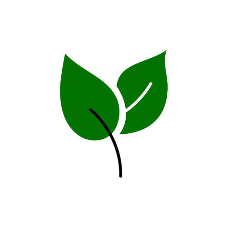 Eco leaves, logo, icon, template and design elements on white isolated background in green color....