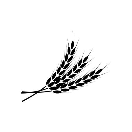 Ears of wheat. Vector illustration on white isolated background.のイラスト素材