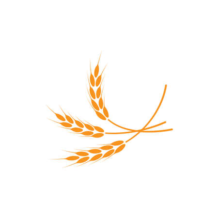 Ears of wheat. Vector illustration on white isolated background.のイラスト素材