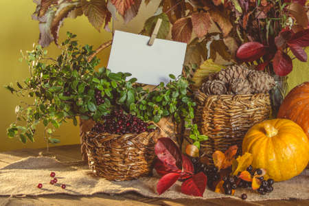 Autumn harvest, pumpkin, pine nutsの写真素材