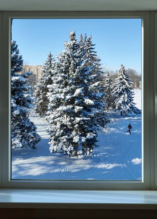 Pine trees in the snow outside the windowの写真素材