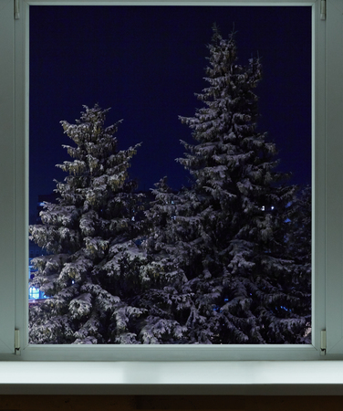 Two beautiful Christmas trees outside the windowの写真素材