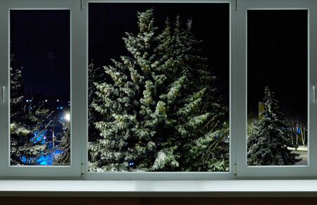 Green Christmas tree in the snow outside the windowの写真素材