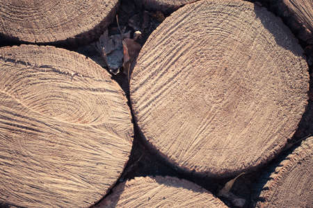 wooden circles laid out on the ground in the trackの写真素材
