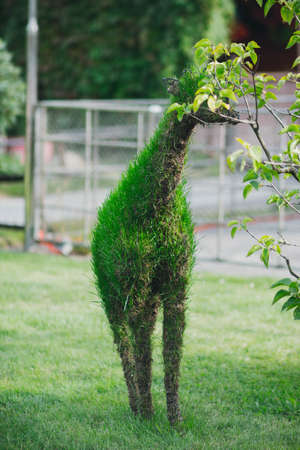 Animals garden bed at saint petersburg, Russia.の写真素材