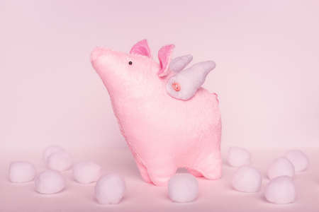 A divinely beautiful piggy angel with handmade wings stands on a white pink background with white balls in cloudsの写真素材