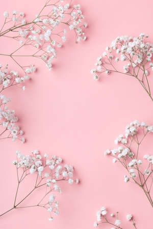 Small white gypsophila flowers lying in a frame on a pink background with place for text. Gentle romantic concept for the inscription and title of a post or article.の写真素材