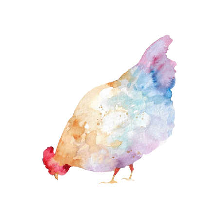 Watercolor illustration of hens and roosters. farm bird illustration. Domestic Chickens. animal illustration. isolated on white background.の写真素材