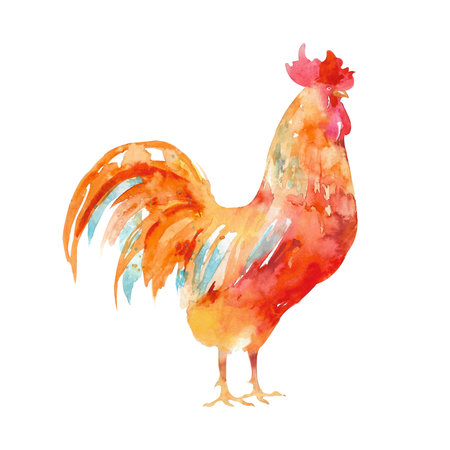 Watercolor illustration of hens and roosters. farm bird illustration. Domestic Chickens. animal illustration. isolated on white background.の写真素材