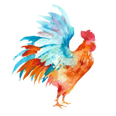 Watercolor illustration of hens and roosters. farm bird illustration. Domestic Chickens. animal illustration. isolated on white background.の写真素材