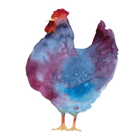 Watercolor illustration of hens and roosters. farm bird illustration. Domestic Chickens. animal illustration. isolated on white background.の写真素材