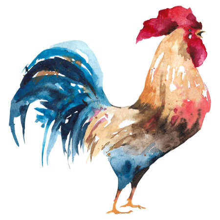 Bright-colored rooster. hand-drawn illustration. Watercolor painting Rooster on a white background. Cockerel crowsの写真素材