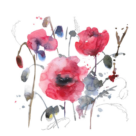 Red watercolor poppies with leaves on the white background. hand draw workingの写真素材